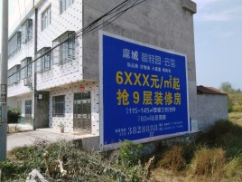  喜德墙体广告质量分析